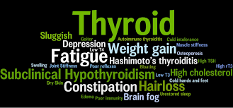 How Your Diet & Training Effects Your Thyroid Health