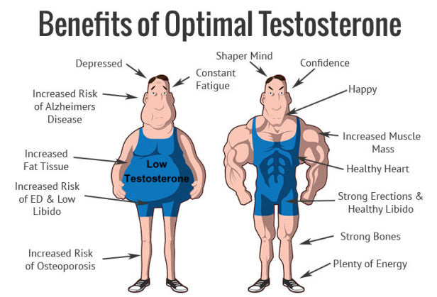 What Causes Low Testosterone|How To Treat Low Testosterone Naturally